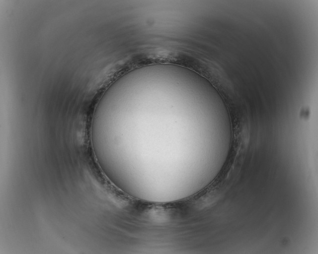 X0000111250416200907091428