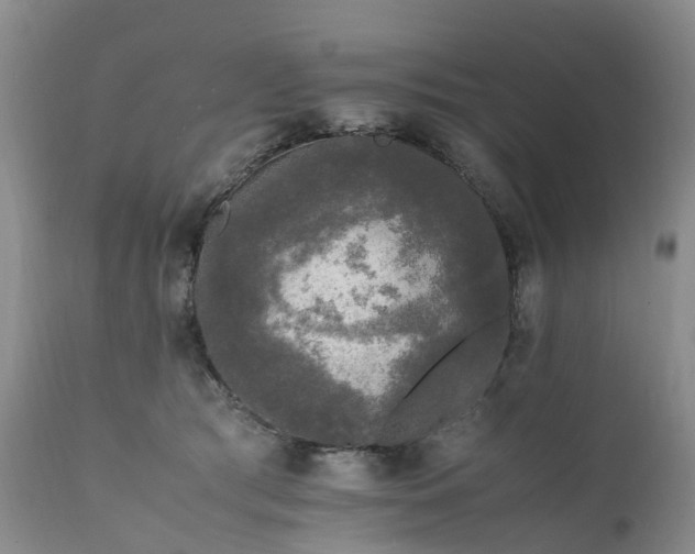 X0000111250417200907091428