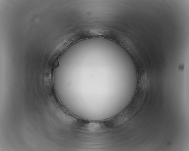 X0000111250418200907091428