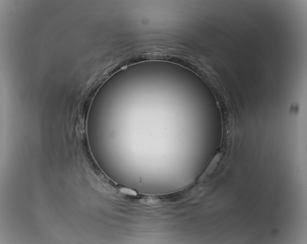 X0000111250419200907091428