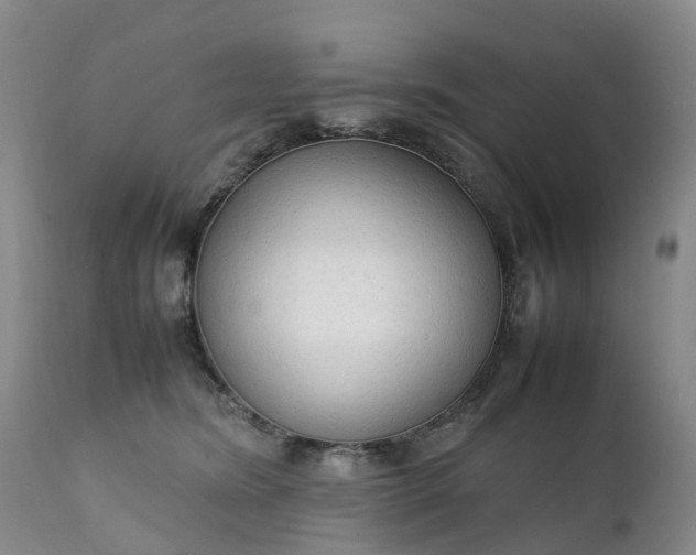 X0000111250420200907091428