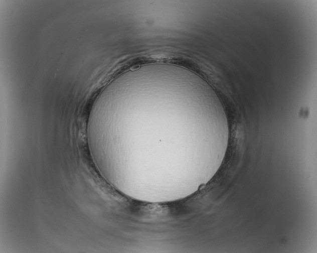 X0000111250421200907091428