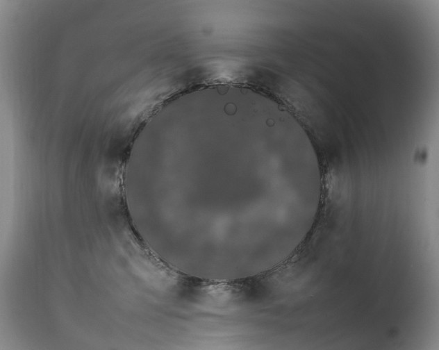 X0000111250423200907091428