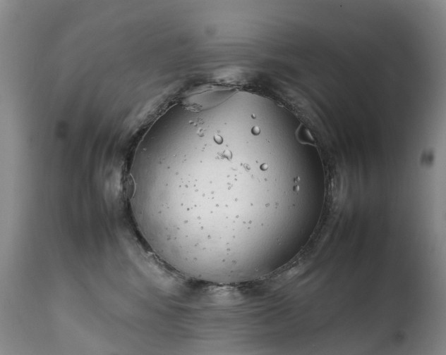 X0000111250424200907091428