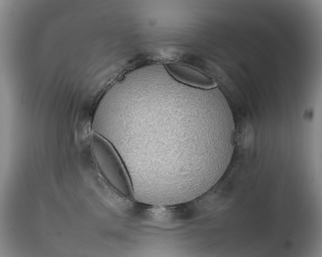 X0000111250425200907091428