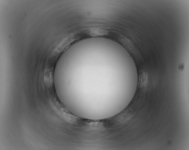 X0000111250426200907091428