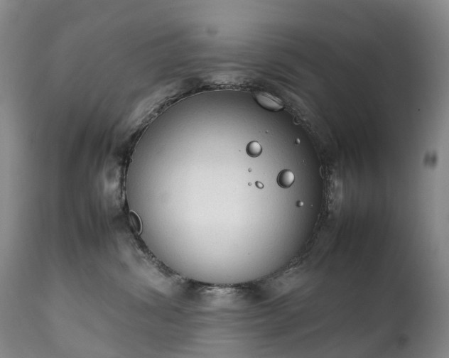 X0000111250428200907091428