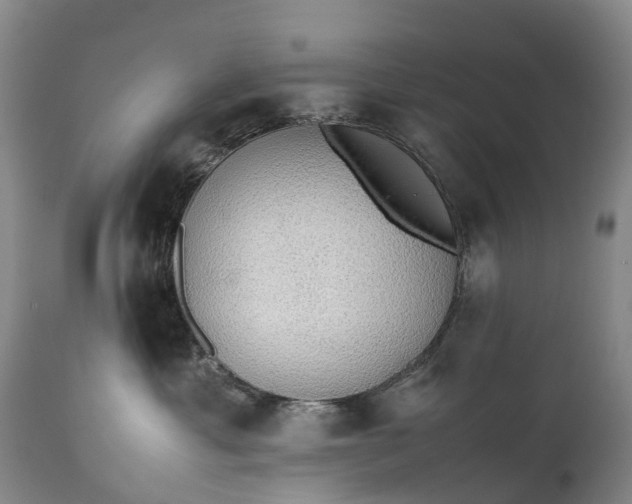 X0000111250429200907091428