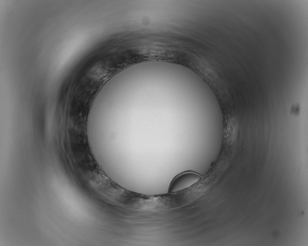 X0000111250430200907091428