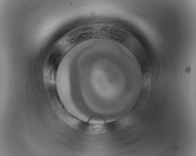 X0000111250431200907091428