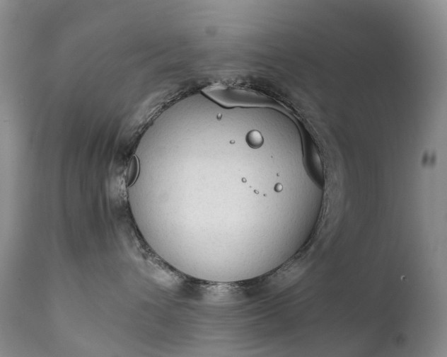 X0000111250432200907091428