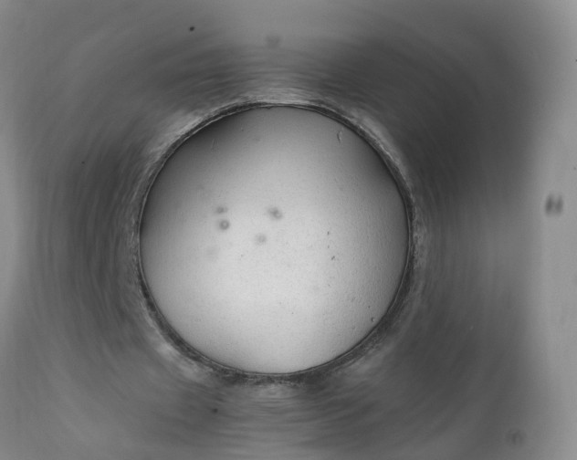 X0000111250433200907091427