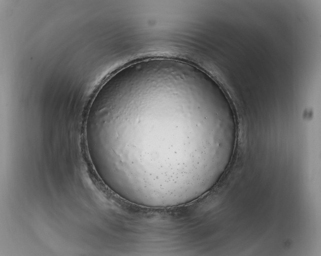 X0000111250434200907091427