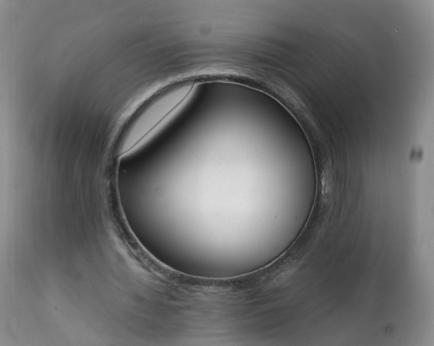 X0000111250436200907091427