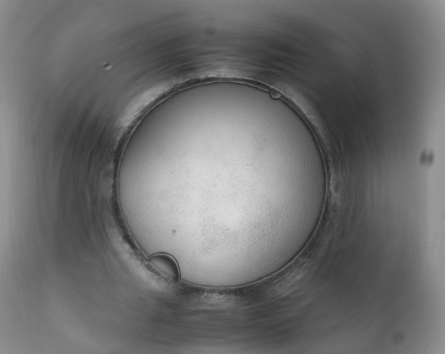 X0000111250437200907091427