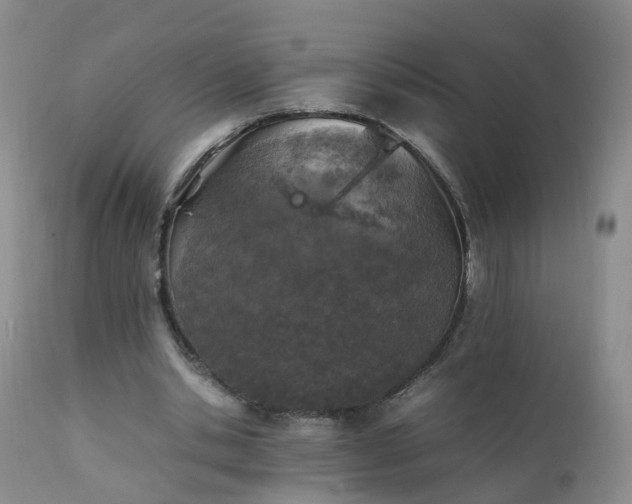 X0000111250438200907091427