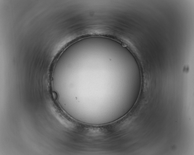 X0000111250439200907091427