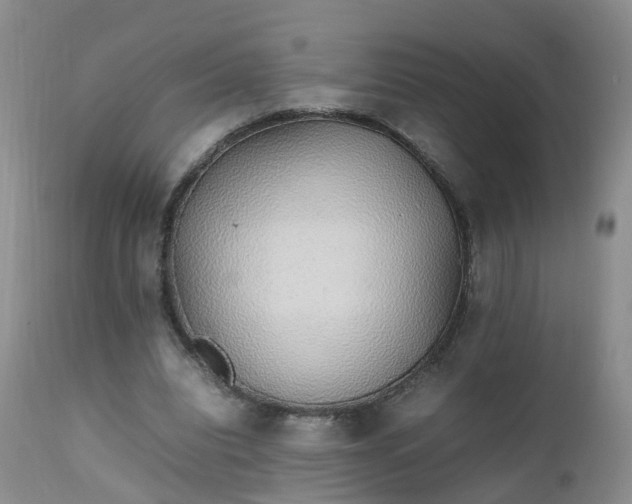 X0000111250440200907091427