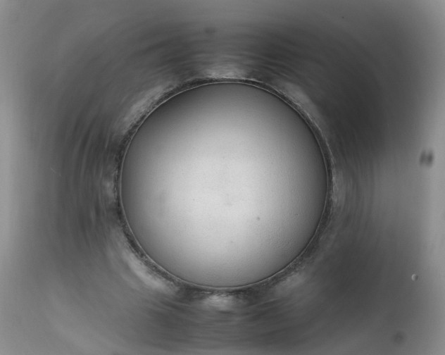 X0000111250441200907091427