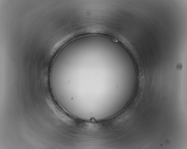 X0000111250442200907091427