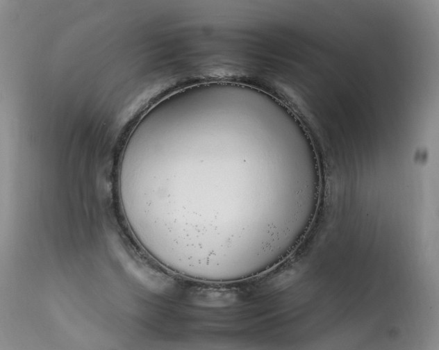 X0000111250443200907091427