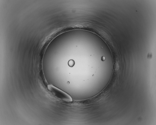 X0000111250444200907091427