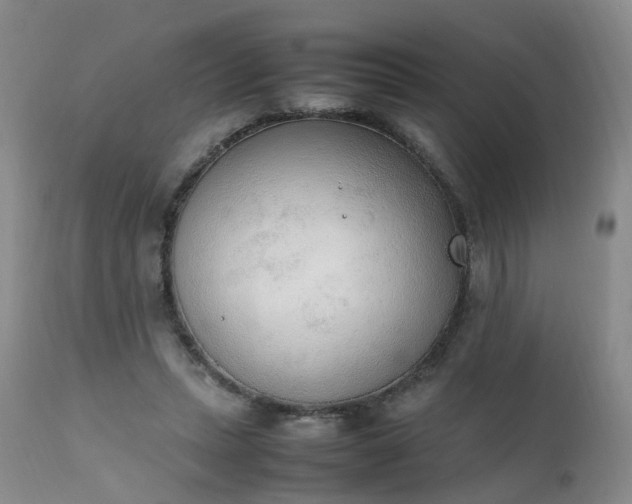 X0000111250447200907091427