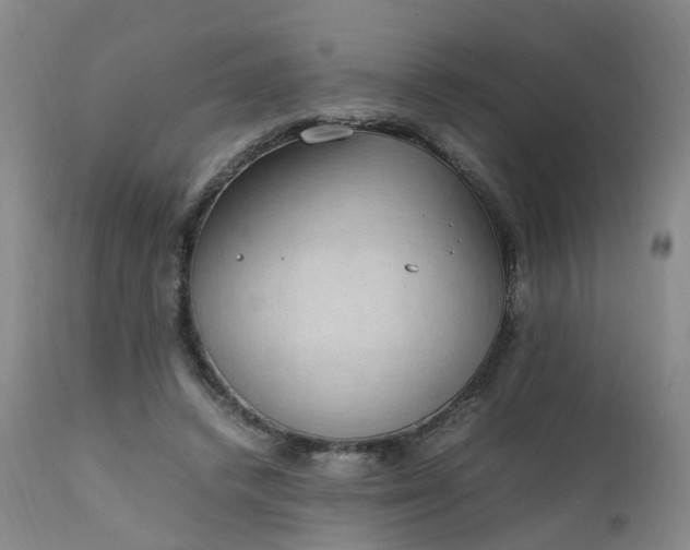 X0000111250448200907091427