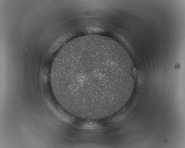 X0000111250451200907091427