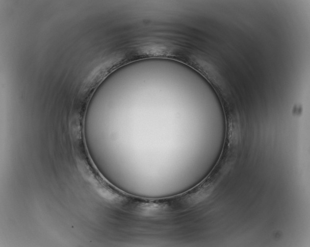 X0000111250453200907091427