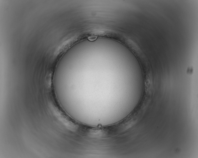 X0000111250454200907091427