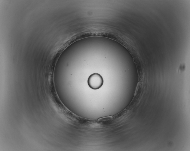 X0000111250456200907091427