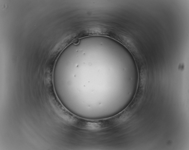 X0000111250457200907091428