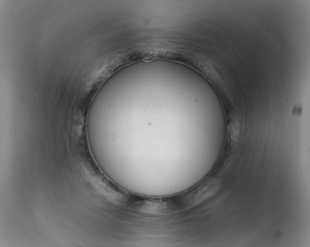 X0000111250458200907091428