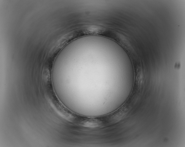 X0000111250459200907091428