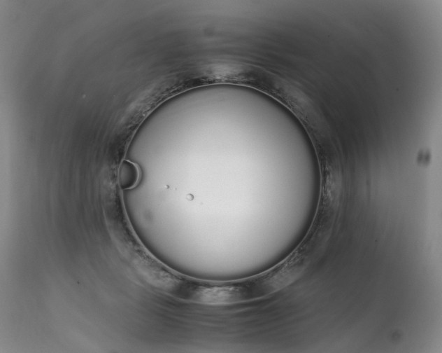 X0000111250461200907091428