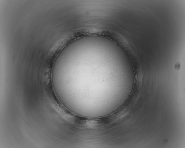 X0000111250462200907091428