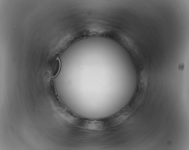 X0000111250463200907091428