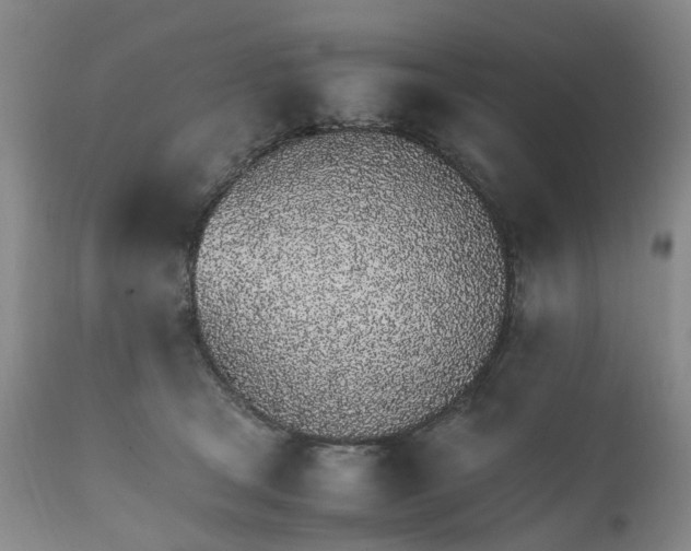 X0000111250465200907091428