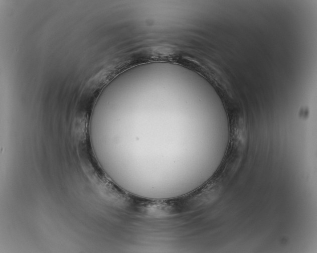 X0000111250468200907091428