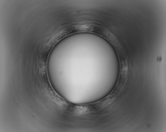 X0000111250469200907091428