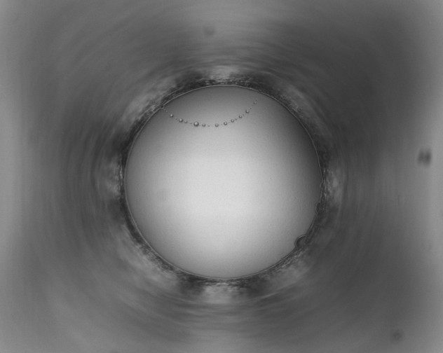 X0000111250470200907091428