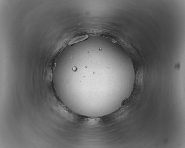 X0000111250474200907091428