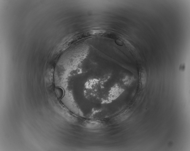 X0000111250475200907091428