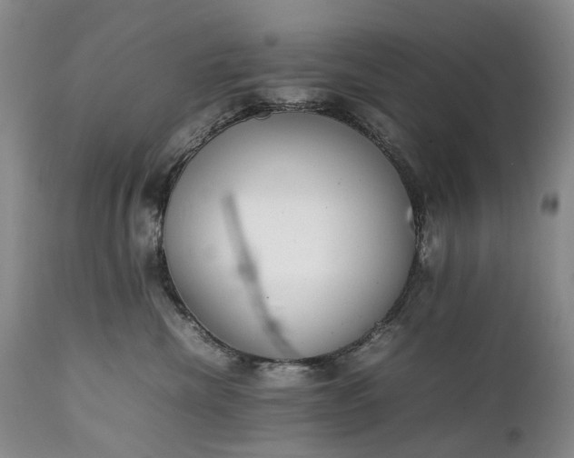 X0000111250476200907091428