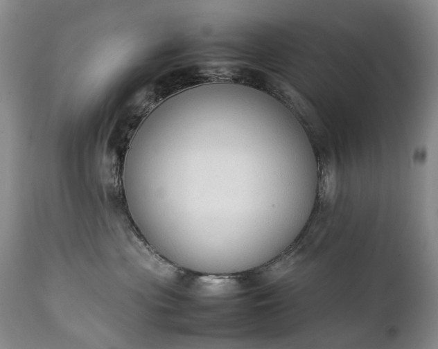 X0000111250477200907091428