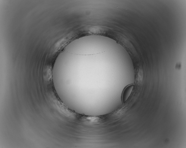 X0000111250478200907091428