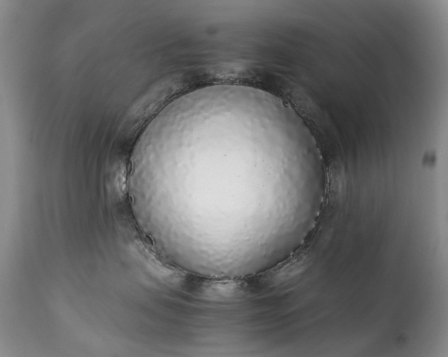 X0000111250479200907091428