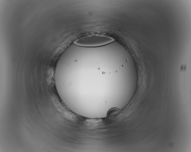 X0000111250480200907091428