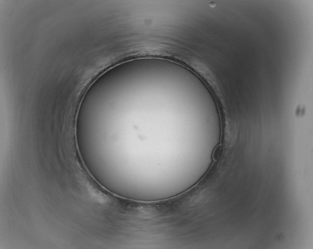 X0000111250481200907091427